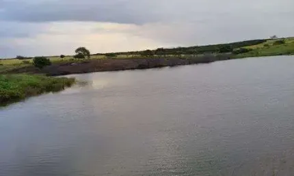 Fazenda/sítio/chácara para venda possui 550 hectares