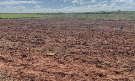 Excelente fazenda com 3.091 hectares na região de touros