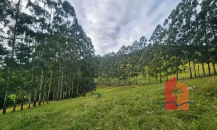 Propriedade rural à venda – 80.520 m² em paulo lopes/sc