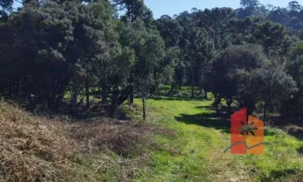 Terreno de 2 Hectares em Urubici – Altitude, Clima Frio e Oportunidade para Projetos Sustentáveis