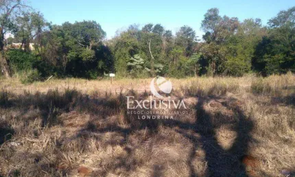Terreno à venda, 1000 m² - jardim itatiaia 1 - londrina/pr