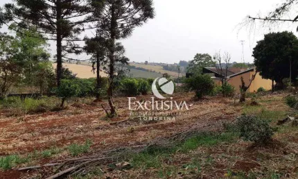 Terreno à venda, 3200 m² - Centro - Rolândia/Paraná