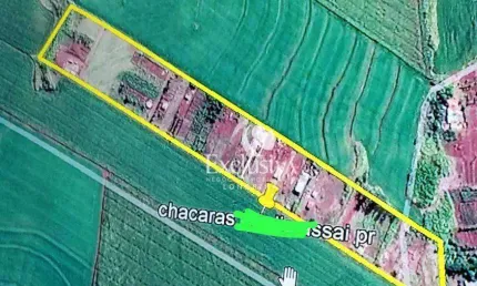 Chácara à venda, 1600 m² - município de assaí - assaí/pr