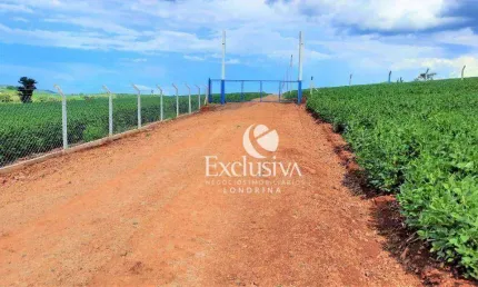Chácaras  à venda, 2000 m²  - zona rural - londrina/pr