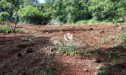 Chácara à venda, 21944 m²  - chácaras são miguel - londrina/pr
