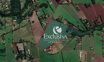 Sítio à venda, 363000 m² - Estrada da Cegonha - Londrina/PR