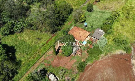Chácara à venda com 26.000m² - patrimônio regina - londrina/pr