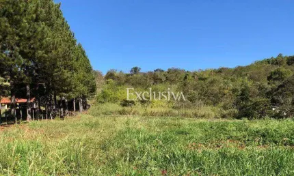 Chácara à venda, 20000 m² - Fazenda Chácaras Itauna - Ibiporã/PR