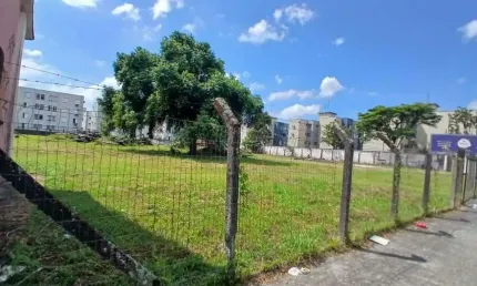 IMÓVEL COMERCIAL no BUCAREIN com 0 quartos para LOCAÇÃO, 7032 m²