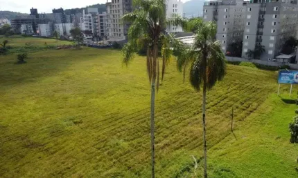 Terreno no santo antônio com 0 quartos para venda/locação, 22226 m²