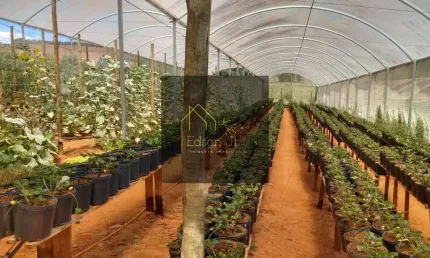 Chácara / sítio com 2 quartos à venda no Couto, Bragança Paulista 