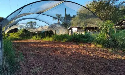 Fazenda/Sítio/Chácara para venda possui 100000 metros quadrados com 7 quartos
