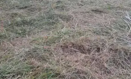 Terreno à venda, residencial vila martins, salto, sp