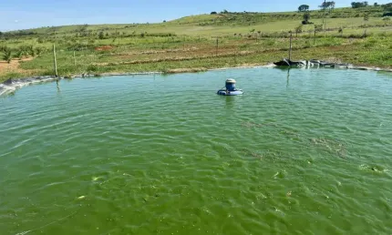 Sítio para venda em patos de minas, rural, 4 dormitórios, 3 suítes, 2 banheiros