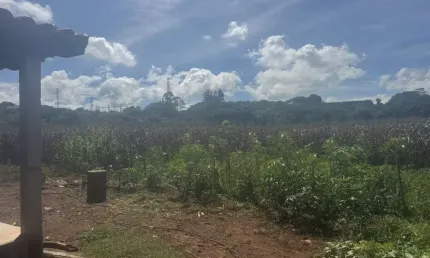 Sítio para venda em patos de minas, rural, 2 dormitórios, 1 banheiro