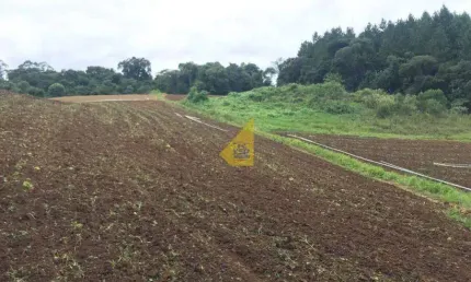 Terreno à venda no Capivari, Colombo  por R$ 498.000