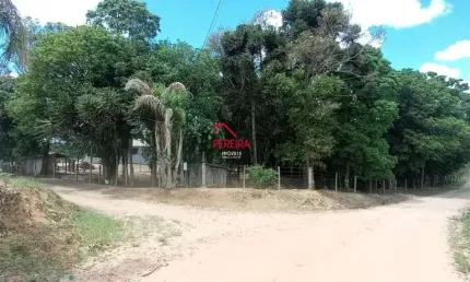 Chácara / sítio com 1 quarto à venda na estrada principal, s/n, campestre dos paulas, mandirituba por r$ 265.000