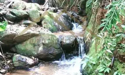 Sítio para Venda em Ilhota, Alto Baú, 2 dormitórios, 1 banheiro, 1 vaga