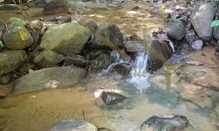 Chácara / sítio à venda na Rua Bairro Boa Vista, 00, Boa Vista, Jaraguá do Sul