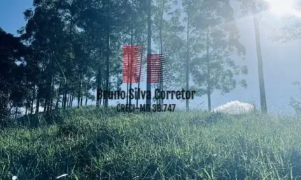 Terreno à venda na Fazendinhas Triqueda, 5, Fazenda Triqueda, Coronel Pacheco