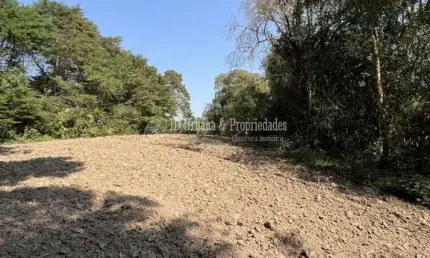 Chácara à venda no bairro felpudo em campo largo/pr