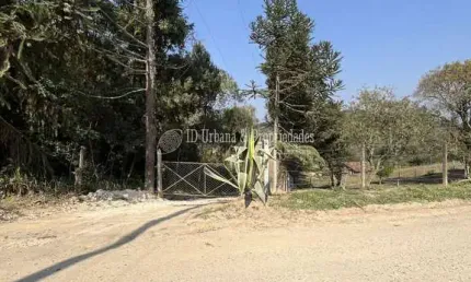 Chácara à venda no bairro felpudo em campo largo/pr