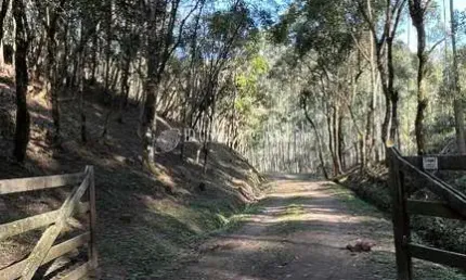 Chacara com 169.390 m²,  à venda no bairro saltinho.