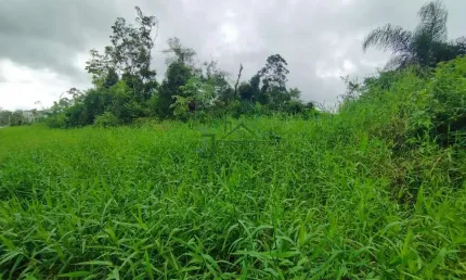 Terreno à venda na Praia Grande, Matinhos 