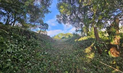 Terreno à venda no Itacorubi, Florianópolis 