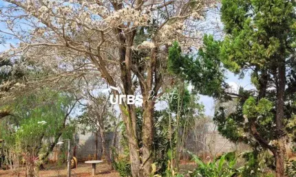 Estância vargem bonita - chácara 6 quartos, sendo 2 suítes