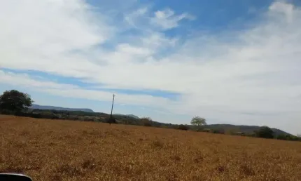 Venda de fazenda em jaraguá: 232 hectares (48 alqueires), dupla aptidão