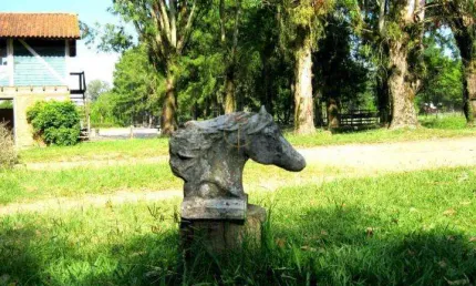 Terreno à venda no Lageado, Porto Alegre 