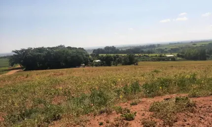 Chácara / sítio à venda na Estrada São Bento, Jardim São Domingos, Maringá