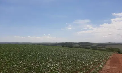 Chácara / sítio à venda na Área Rural de Sarandi, Sarandi 