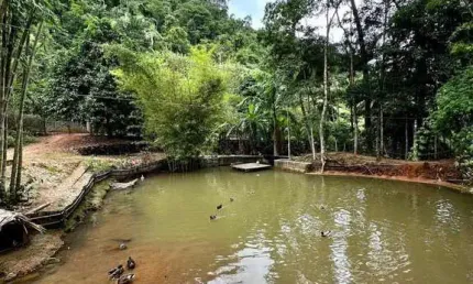 Chácara / sítio com 4 quartos à venda na Praça da Estação, Vale da Estação, Domingos Martins