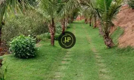Sitio com 3,5 hectares com plantações em santa leopoldina