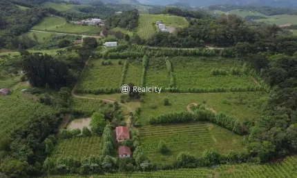 Terreno à venda na estrada do sabor, 12, vale dos vinhedos (distrito), bento gonçalves por r$ 2.999.999