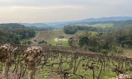 Terreno à venda na estrada do sabor, 1, vale dos vinhedos (distrito), bento gonçalves por r$ 1.349.000