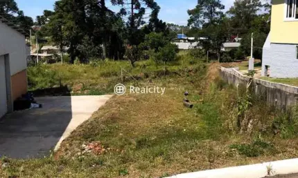 Terreno à venda na linha vitória, 12, alfândega, garibaldi por r$ 341.000