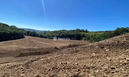 Terreno comercial à venda na rs-453, km 18 - linha rio burati, 3, nova sardenha (distrito), farroupilha por r$ 999.000