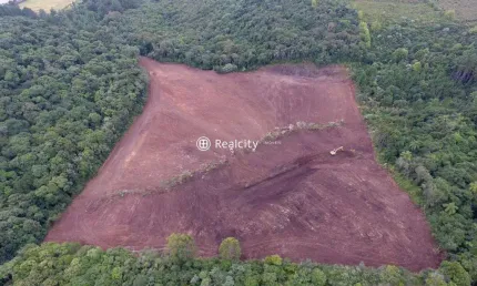 Terreno comercial à venda na rs-453, km 18 - linha rio burati, 2, nova sardenha (distrito), farroupilha por r$ 2.499.000