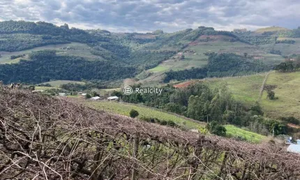 Terreno à venda na linha fernandes lima, 12, faria lemos (distrito), bento gonçalves por r$ 789.000