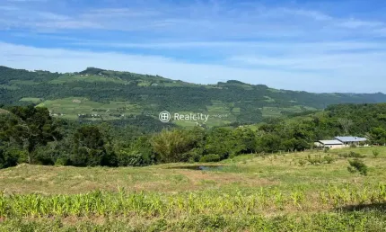Terreno à venda na km 300, 2, faria lemos (distrito), bento gonçalves por r$ 499.000