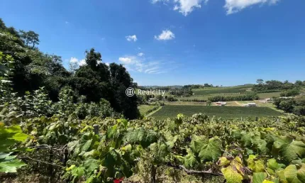 Terreno à venda na rs 444, 1, vale dos vinhedos (distrito), bento gonçalves por r$ 990.741