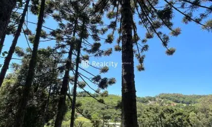 Terreno à venda na rs 444, 22, vinosul, bento gonçalves por r$ 7.600.000
