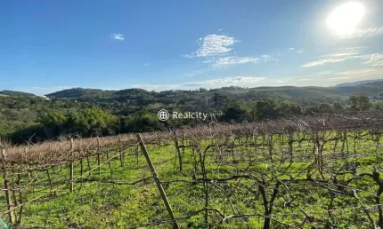 Terreno à venda na linha santa lucia, 4, vale dos vinhedos (distrito), bento gonçalves por r$ 550.000