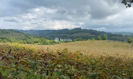 Terreno à venda na linha armenio, 8, zona rural, monte belo do sul por r$ 5.500.000