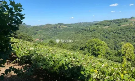 Terreno à venda na linha santo isidoro, 23, vale dos vinhedos (distrito), bento gonçalves por r$ 920.000