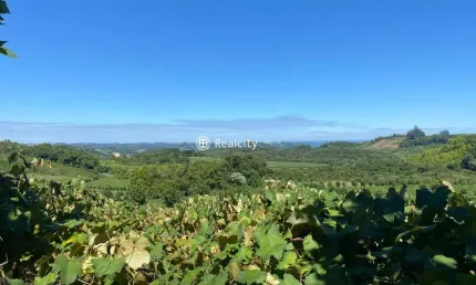 Terreno à venda na linha 15 da graciema, 2000, vale dos vinhedos (distrito), bento gonçalves por r$ 3.598.000
