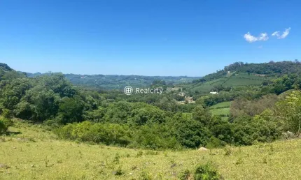 Terreno à venda na linha santo alexandre, 1, zona rural, garibaldi por r$ 5.999.000
